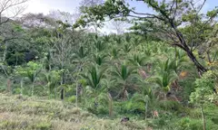 Casa Paradise, Samara, Guanacaste – thumbnail 15