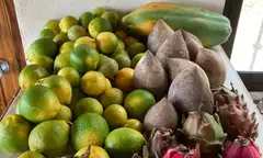 Casa Paradise, Samara, Guanacaste – thumbnail 19