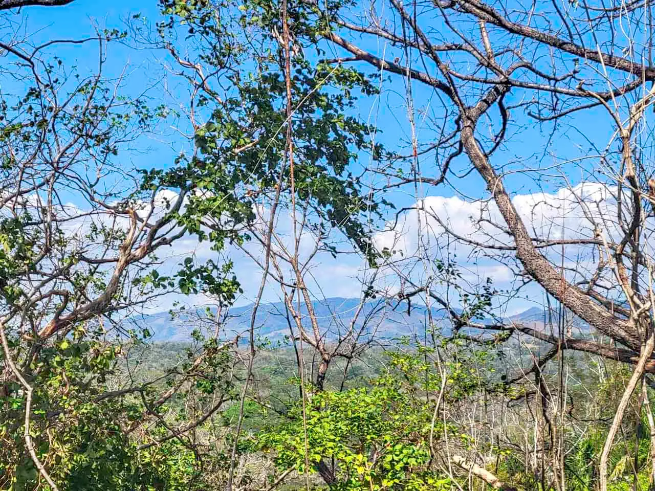 Loma Verde, Samara, Guanacaste – photo 1 of 20
